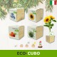 Eco-cubi Green idea regalo ecologica di natale da piantare