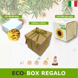 Confezione scatola green BOX MIELE regalo amico di api e farfalle