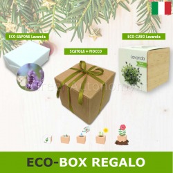 Confezione scatola regalo green BOX LAVANDA top-idea regalo profumata
