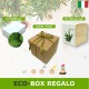 Confezione-scatola regalo di natale green box aloe