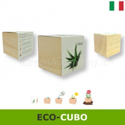 Eco-cubo vasetto made in Italy con semi di aloe