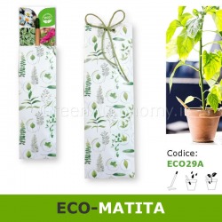 Eco-matita da piantare in confezione regalo piante verdi