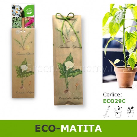 Idea regalo eco-matita piantabile in confezione regalo fiori e piante