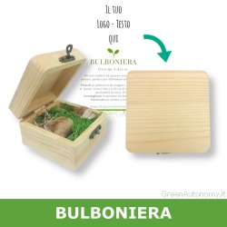 bulboniera scatola - bomboniera originale green da personalizzare con bulbi