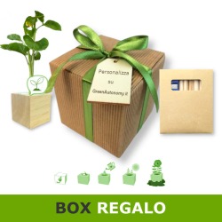 Idea regalo - pianta in cubo, set matite colorate, confezione regalo e tag da personalizzare