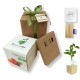 Idea regalo per bambini pianta in cubo, matite colorate, confezione regalo e tag