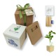 Idea regalo originale pianta nontisordardime, set matite colorate, confezione regalo e tag