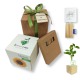 Idea regalo utile pianta girasole, set matite colorate, confezione regalo e tag da personalizzare