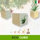 Idea regalo di natale eco-cubo pianta aloe per casa