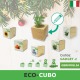 Eco-cubo con piante e fiori da personalizzare per natale