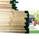 Eco-matita piantabile originale sprout per gadget ecologico aziendale.jpg