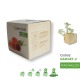 Eco-cubo piantabile gadget ecologico aziendale