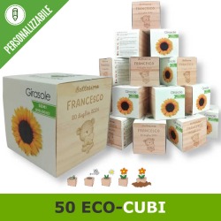 Kit 50 eco-cubi da personalizzare per bomboniere originali da piantare