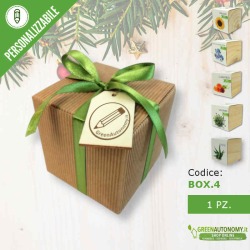 box regalo natale pianta in cubo confezione regalo e tag da personalizzare