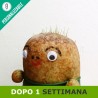 Gioco mister patata dopo una settimana