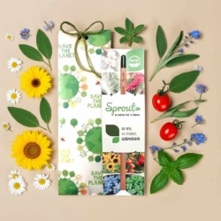 matita piantabile in confezione regalo - salva il pianeta idea regalo ecologica originale