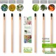 tipologia matita piantabile back to school - idea green per inizio scuola