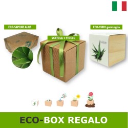 Confezione-scatola regalo box aloe idea regalo per lei-amiche-maestre