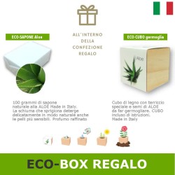 Confezione-scatola regalo pianta aloe e sapone aloe