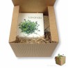 Idea regalo box regalo pianta lavanda e sapone lavanda per lui-lei