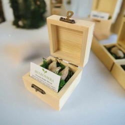 Bulboniera scatolina 7x7x5 cm bomboniera originale green con bulbi da piantare