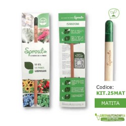 Kit 25 eco-matite da piantare personalizzate per bomboniere-regali
