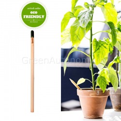 Eco-matita sprout sfusa da piantare