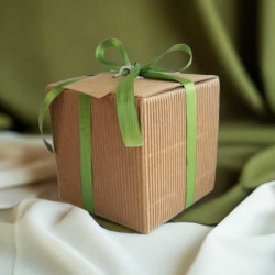 box regalo pianta in cubo che germoglia idea regalo maestre