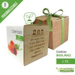 iGreen-cube piante e fiori in cubi per casa. Top regalo maestre personalizzabile
