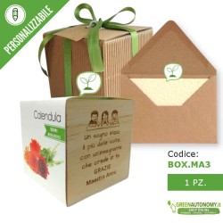 Box regalo piante e fiori da piantare idea regalo per maestre fine anno