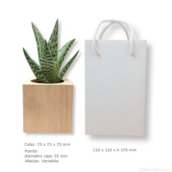 Idea regalo maestre pianta grassa vaso di legno personalizzabile shopper regalo