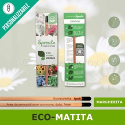 Sprout margherita matita che si pianta da personalizzare