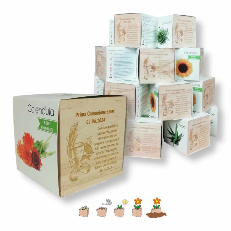 Kit 25 eco-cubi piantabili per bomboniere battesimo