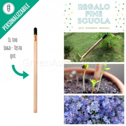 Sprout matita che si pianta per regalo fine scuola
