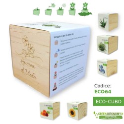 eco-cubo bomboniera laurea originale-ecologica-elegante da piantare