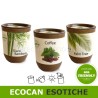 Ecocan piante esotiche in vaso biodegradabile