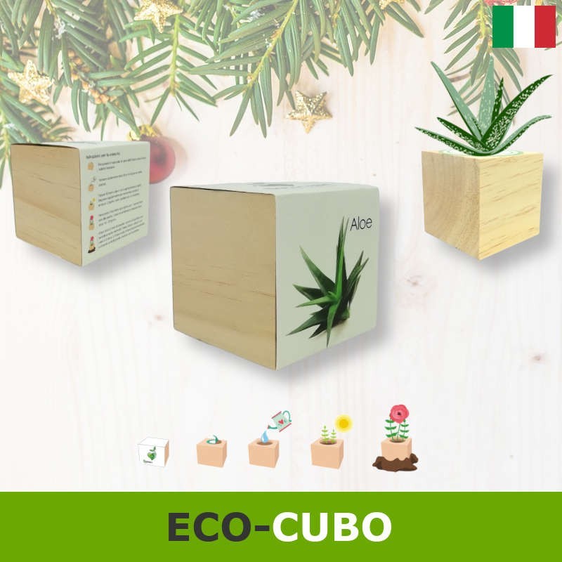 Ecocube pianta esotica in cubo di legno con semi per regalo o gadget