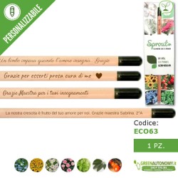 Sprout matita che si pianta per regalo maestra fine scuola