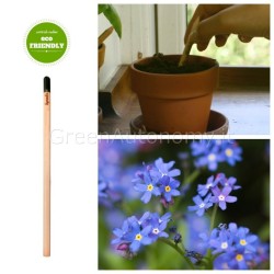 Sprout eco-matita non ti scordar di me da piantare top idea regalo