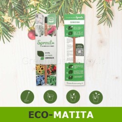 eco-matita sprout piantabile Top idea regalo originale low-cost