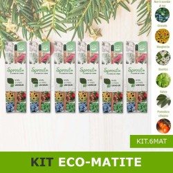 kit eco-matita da piantare e far germogliare idea regalo green natale