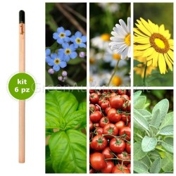 kit 6 pz eco-matita da piantare e far germogliare