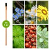 kit 6 pz eco-matita da piantare e far germogliare