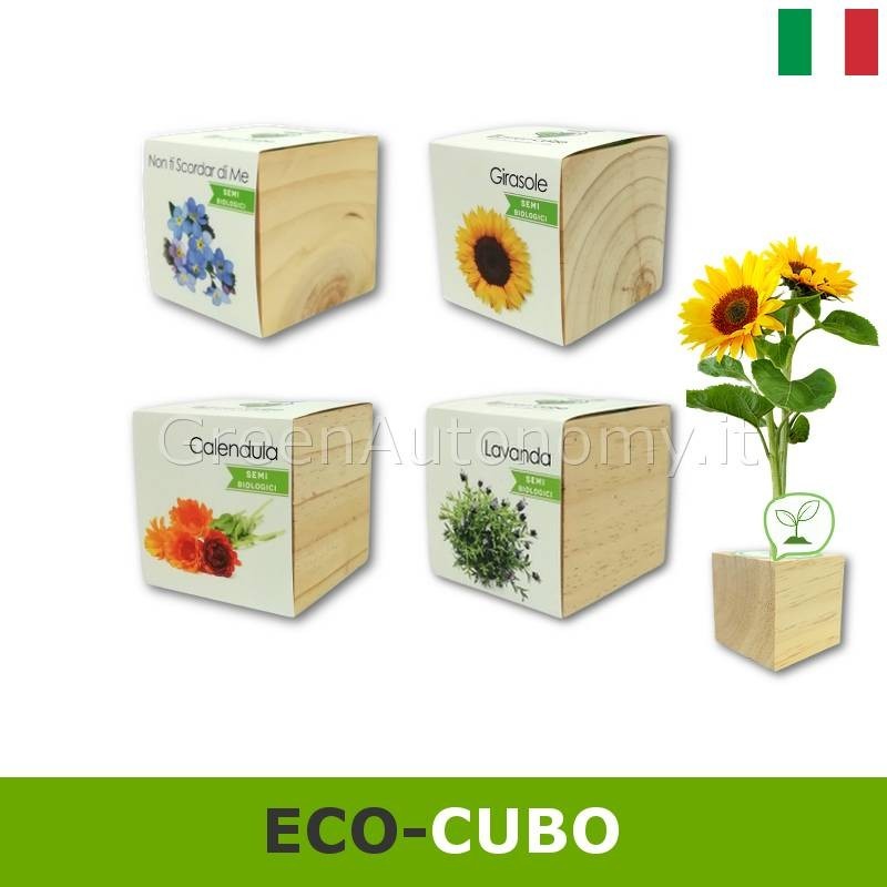 Eco-cubi Green idea regalo ecologica per lui lei da piantare