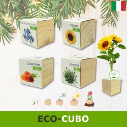 Eco-cubi Green idea regalo ecologica di natale da piantare
