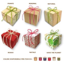 confezione regalo per igreencube piantabile