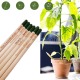 Idee regalo kit 6 matita sprout da piantare e far germogliare