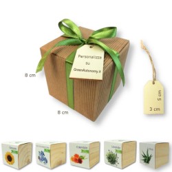 Confezione box-regalo pianta in cubo confezione con fiocco e tag da personalizzare