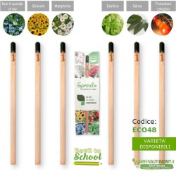 tipologia matita piantabile back to school idea green per inizio scuola