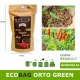 Ecobag idea regalo da pintare con terra e semi di peperoncino